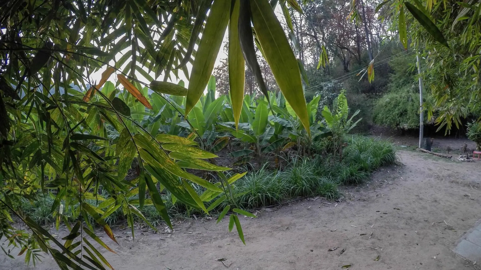 Rancho Farmstay Sultan Bathery 0*,  Inde